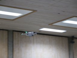 hallenfliegen26012025 17